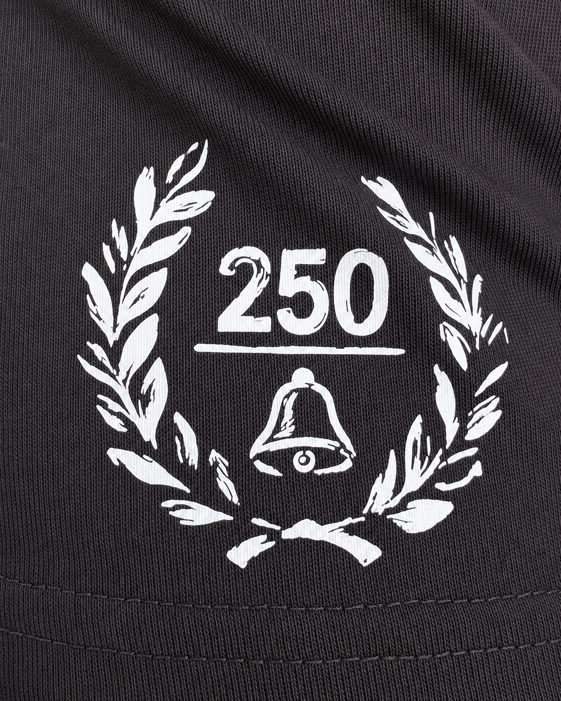 America 250th sleeve graphic on Raise Hell Stay Free Tee by Brother Apparel