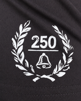 America 250th sleeve graphic on Raise Hell Stay Free Tee by Brother Apparel