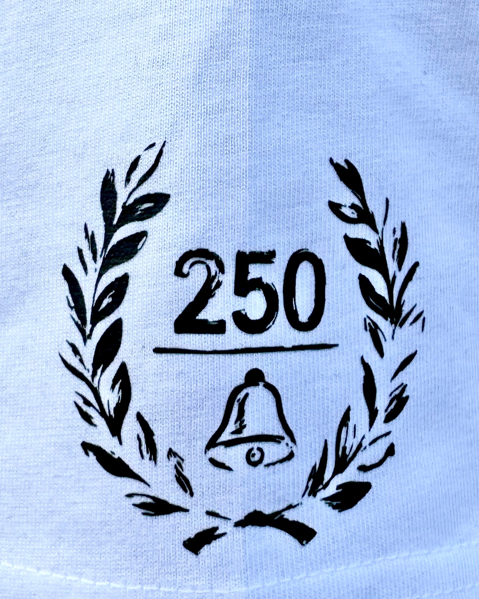 America 250th sleeve graphic on Raise Hell Stay Free Tee by Brother Apparel